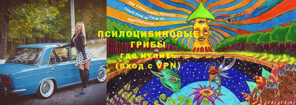 ECSTASY Лиски