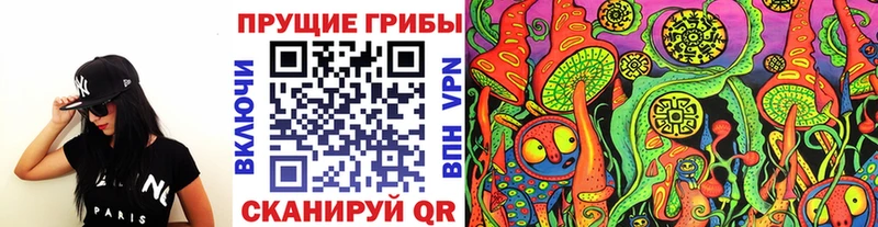 Псилоцибиновые грибы Psilocybe  kraken сайт  Назрань 