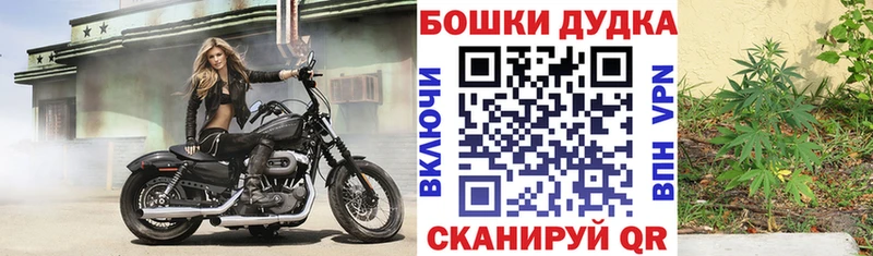 Конопля Amnesia где купить наркоту Назрань